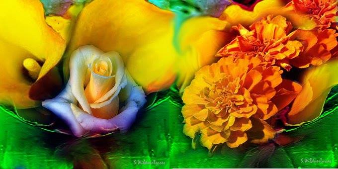 10734193_10152977054374728_8845935702290067698_n