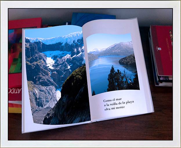 18425023_1375235835874997_2041525079468800274_n