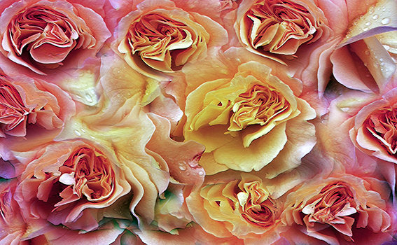 La mágia del amarillo