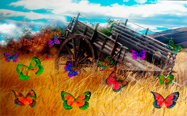 Mariposas-de-otonoweb